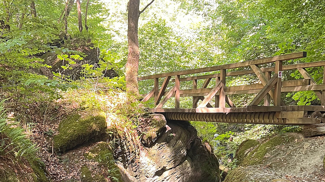Ausflugsziel Brücke im Wald
